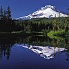 MtHood TrilliumLake